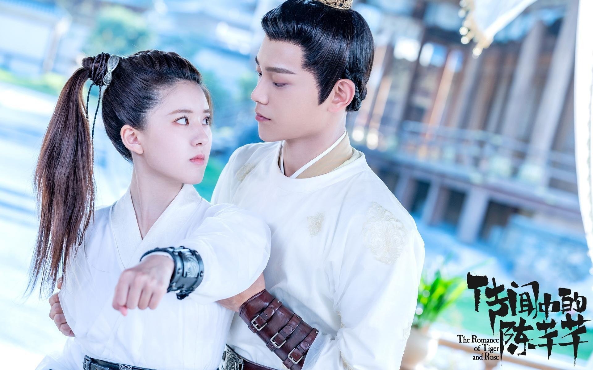 冠军战队背后的管理秘密：团队建设与战术策略深度揭秘，冠军战队名字